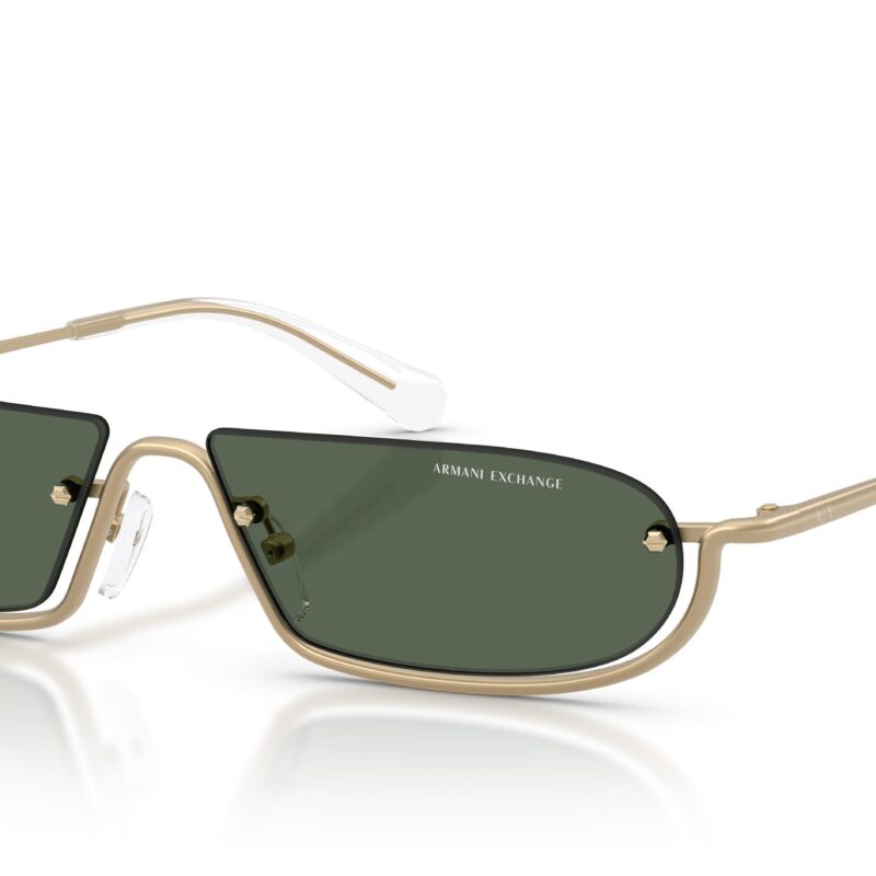 ARMANI EXCHANGE AX 2058S 612171 SUN