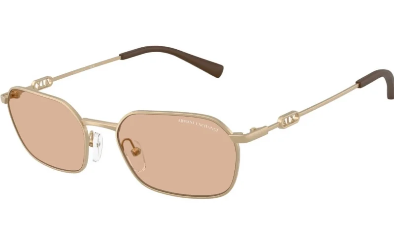 ARMANI EXCHANGE AX 2056S 612173 SUN