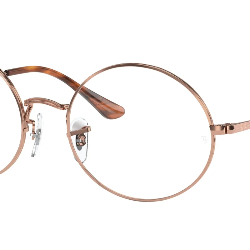 RAY BAN RB 1970V 2943 OPT