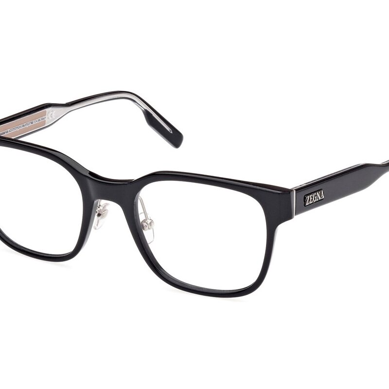 ZEGNA EZ 5253 001